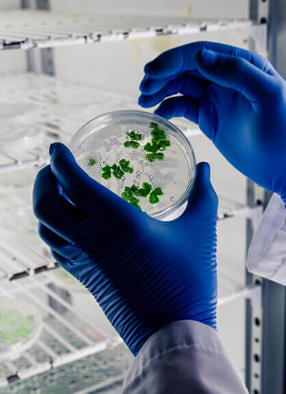 Biotech